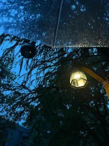 圣诞节恐怖故事 圣诞节恐怖故事