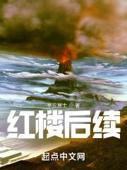 红楼后续之被修正的命运 类型