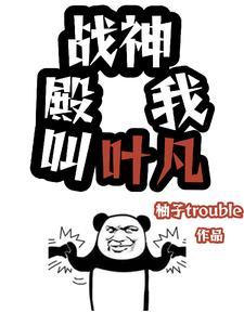 天神殿叶凡 天神殿叶凡