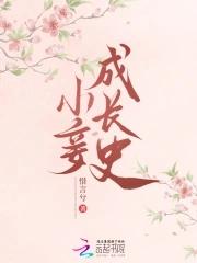 经典小妾 经典小妾