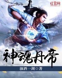 神魂丹帝神魂丹帝