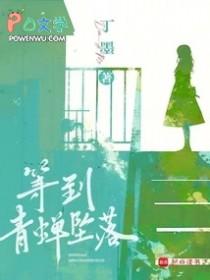 等到青蝉坠落简介 等到青蝉坠落简介