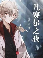 凡赛尔之夜 凡赛尔之夜